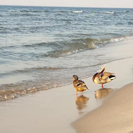 Teresa Apartment Krynica Morska