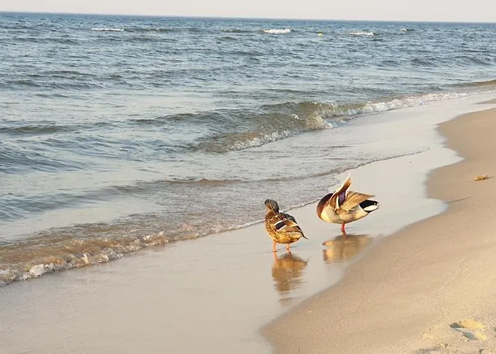 Teresa Apartmán Krynica Morska