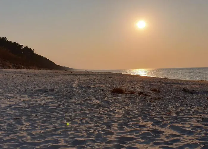 Teresa Krynica Morska